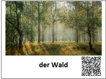Ein Bild eines Waldes ist mit den Worten "der Wald" beschriftet. Daneben befindet sich ein QR-Code, welcher zur auditiven Darstellung des Begriffes führt.