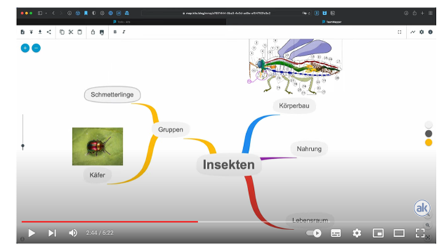 Abgebildet ist ein Screenshot. Dieser bildet eine Mindmap zum Thema "Insekten" ab. Diese wurde mit dem Programm "TeamMapper" erstellt. In der Mindmap sind sowohl Bilder, als auch schriftsprachliche Elemente verarbeitet.