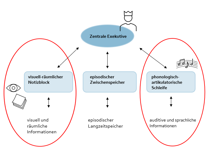 Zu sehen ist ein Modell des Arbeitsgedächtnisses. Oben ist die zentrale Exekutive abgebildet. Von dieser gehen drei Pfeilen zu Hilfssystemen ab: Dem episodischen Zwischenspeicher, dem visuell-räumlichen Notizblock und der phonologisch-artikulatorischen Schleife.